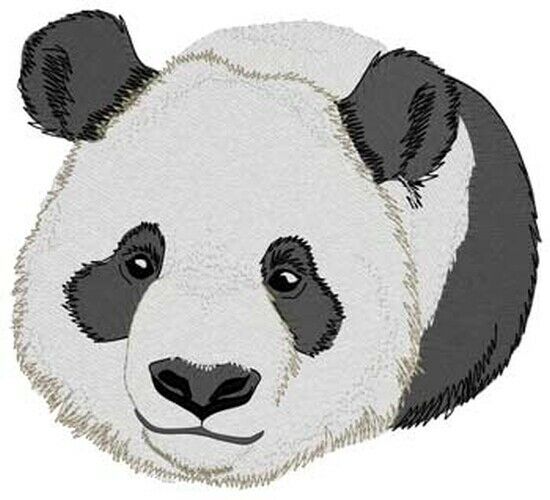 Panda 084 Wildlife Embroidered Patch 5" X 4.5"  Free Usa Shipping