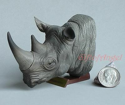 Cake Topper Hunting Trophy Takara 2#6 Rhinoceros Sahara Rhino Model Yh_2.6
