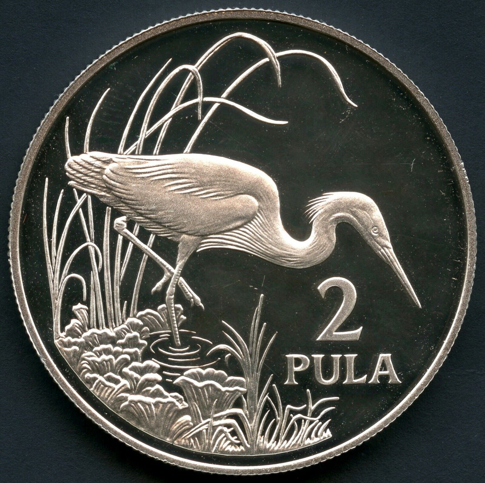 1986 Botswana 2 Pula Silver Coin (28.28 Grams .925 Fine)