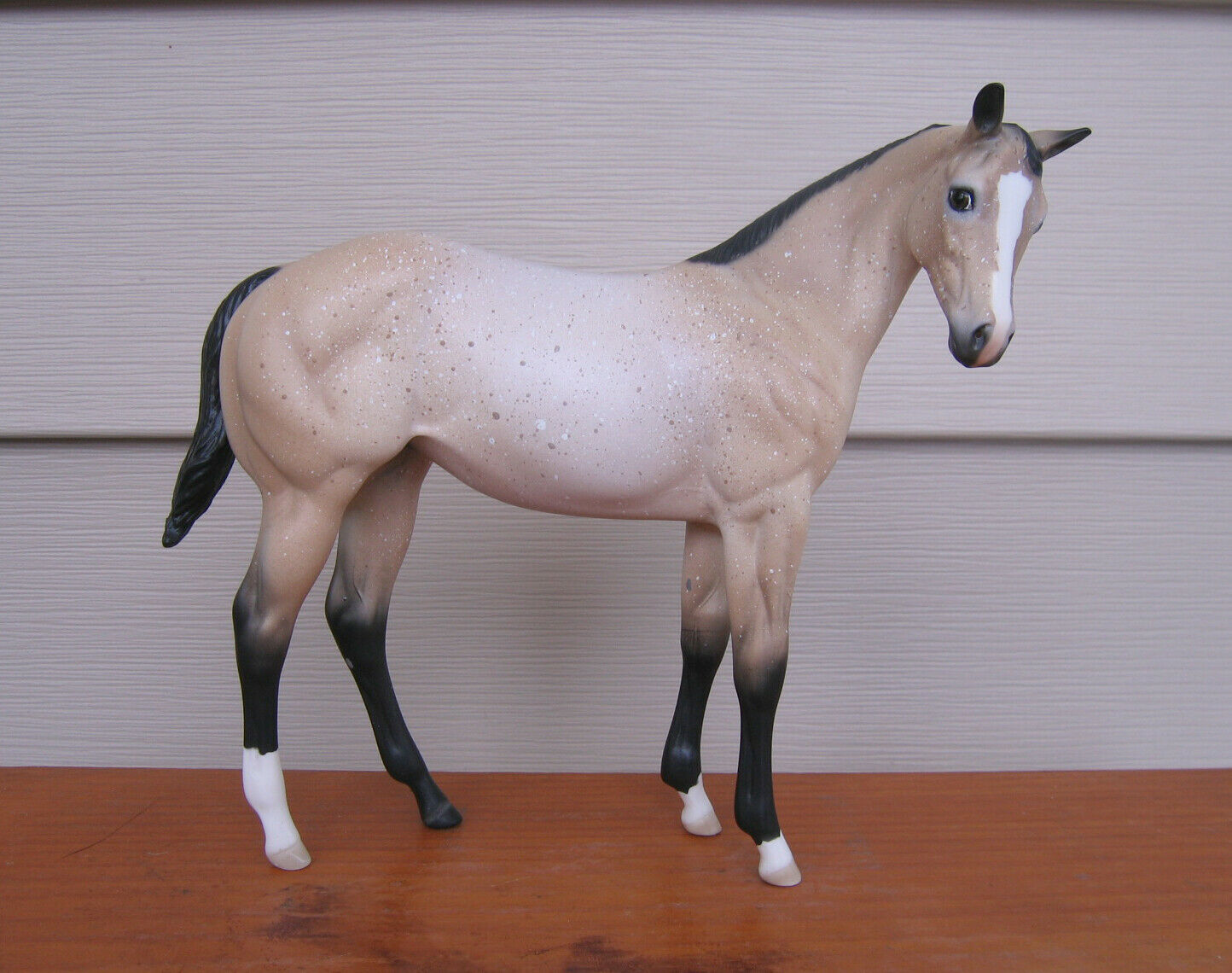 Peter Stone Serena 2007 Buckskin Roan Fcm Weanling Twitched Ear