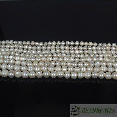 Natural Freshwater White Pearl Round Beads 4mm 6mm 8mm 9mm 10mm 11mm 12mm 15''